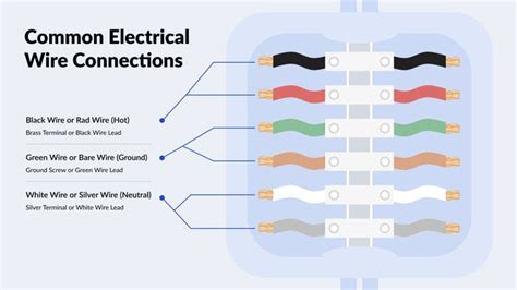 does an electric box have 2 neutals|2 Hot Wires In An Outlet: What It Means & How To Wire It.